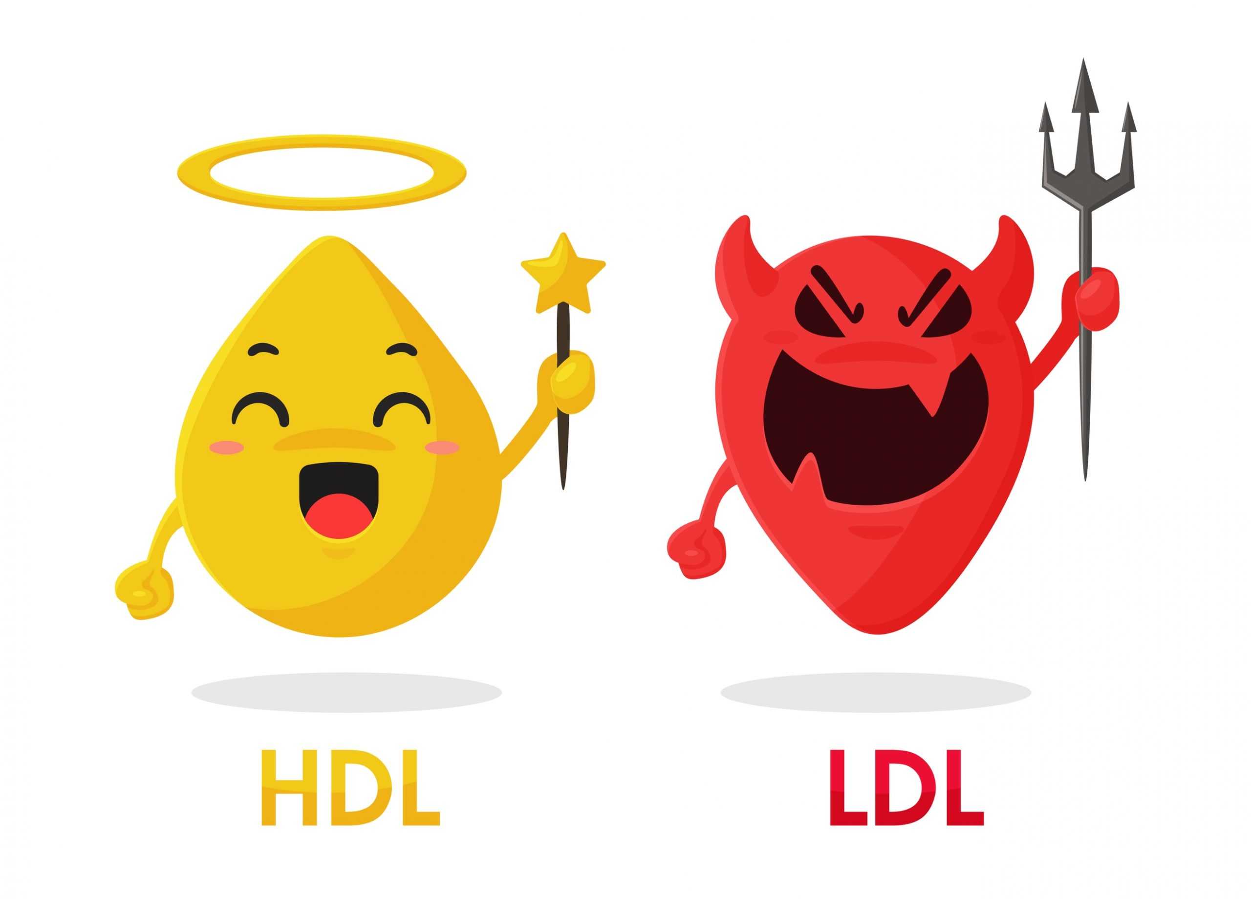 Keto Diet and LDL Cholesterol: Is LDL Really that Bad: Correlation with Low Carb Keto Diet  Bariatric Station