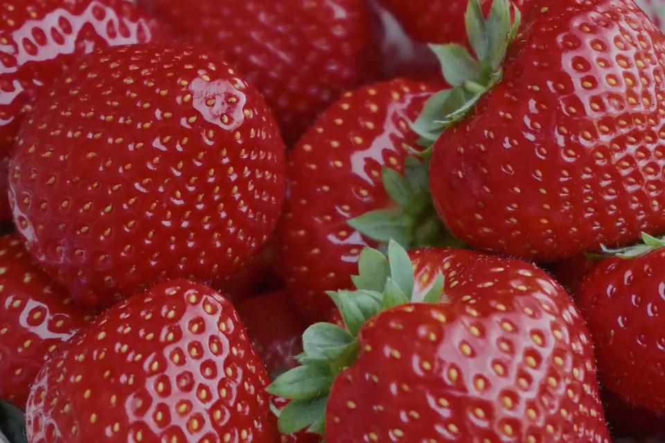 20 grams of carbs strawberries