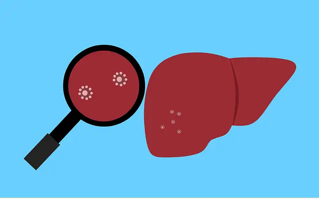 liver, bacteria, virus