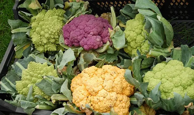 cauliflower, vegetables, multicoloured