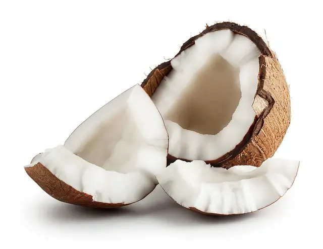 coconut, party, several