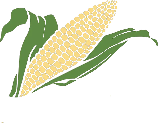 corn, maize, vegetables