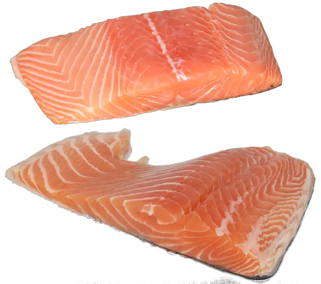 fish, salmon, fillet