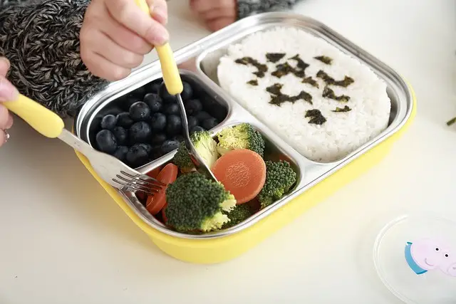 portion sizes, partition, dinner plate