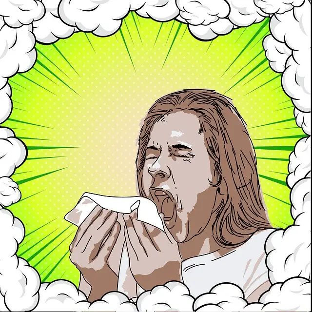 sneeze, flu, cold