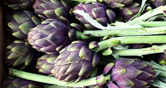 artichoke, vegetables, food