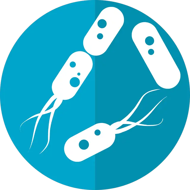 bacteria icon, microbiome icon, gut bacteria