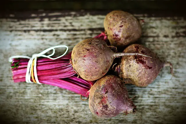 beetroot, beets, vegetables