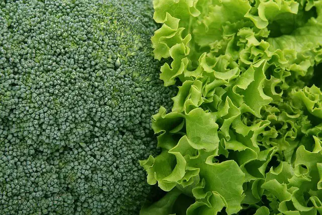 broccoli, lettuce, vegetables
