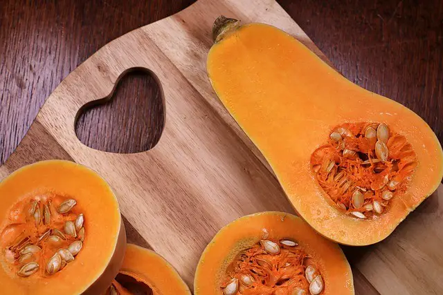 butternut squash, butternut, squash