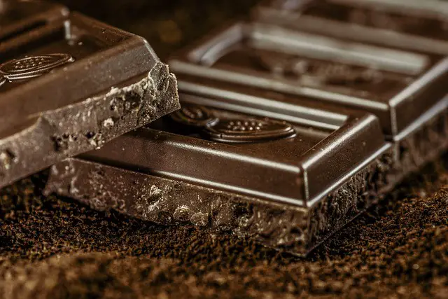 Dark Chocolate Cholesterol: All You Need To Know