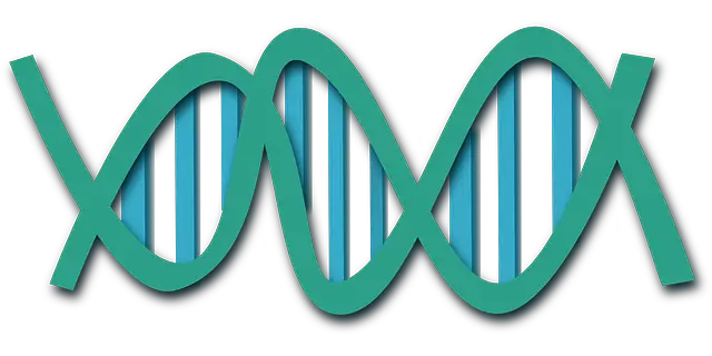 dna, helix, science