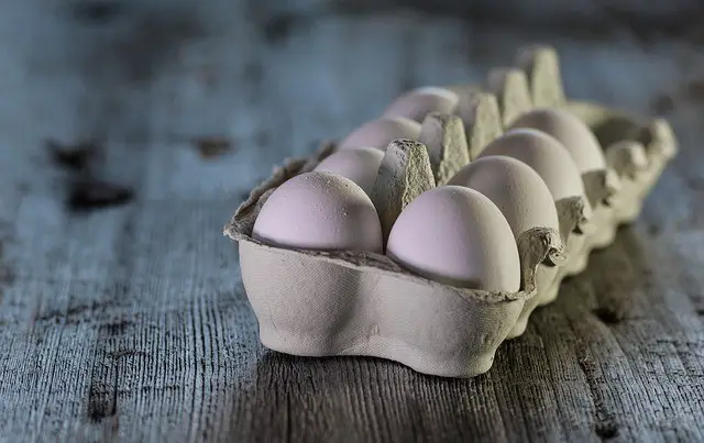 eggs, raw, dairy