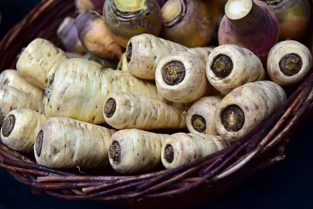 parsnips, root vegetable, parsley root