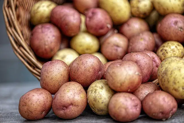 potatoes, vegetables, nature