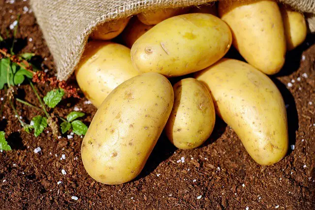 potatoes, vegetables, tuber