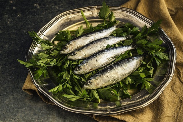 sardines, fish, lunch