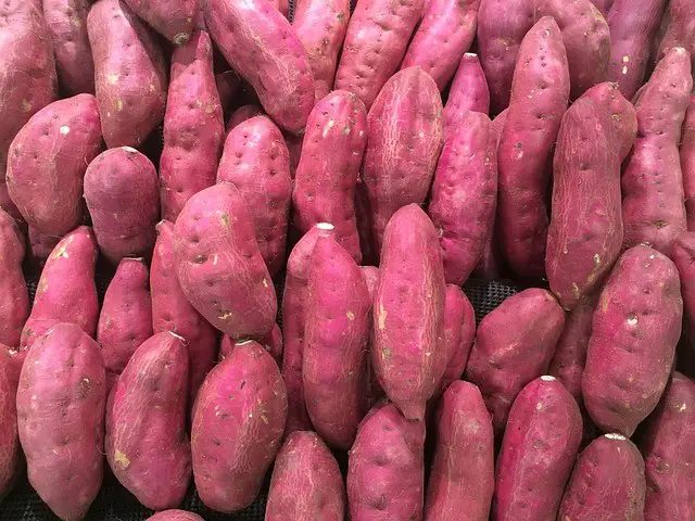 sweet potato, red-purple, pile
