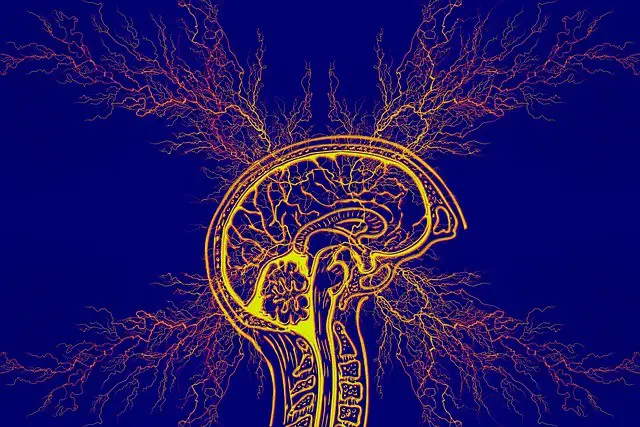 tourette syndrome, epilepsy, ADHD