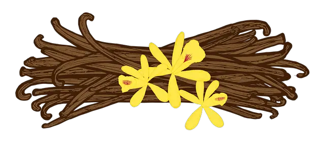 vanilla, pod, vanilla flower