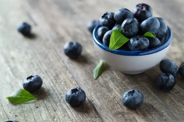 Keto Fruits: How Many Carbs in 1 Cup of Blueberries (All You Need To Know)