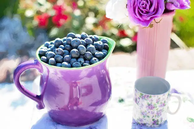 blueberries, fruits, pitcher