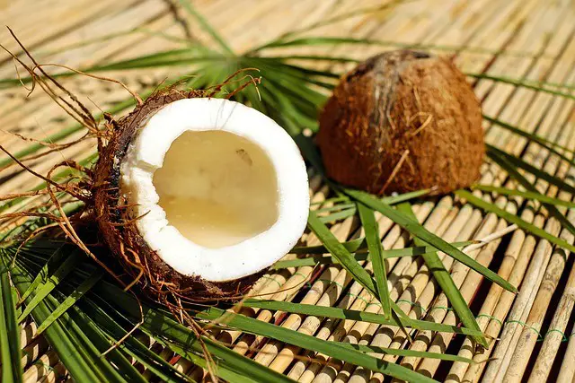 Carbs and the Keto Diet: How Many Carbs are in Coconut Milk?