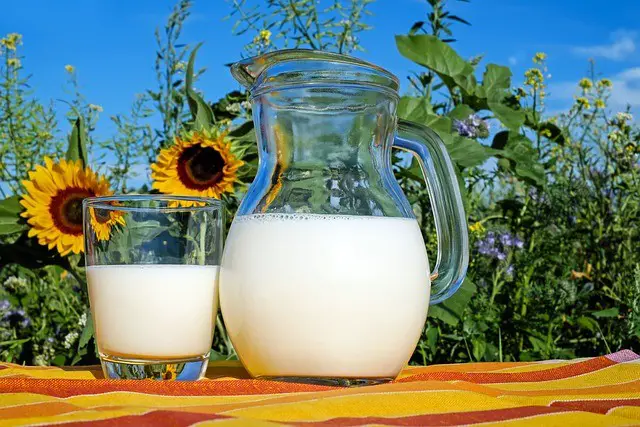 milk, glass, pitcher