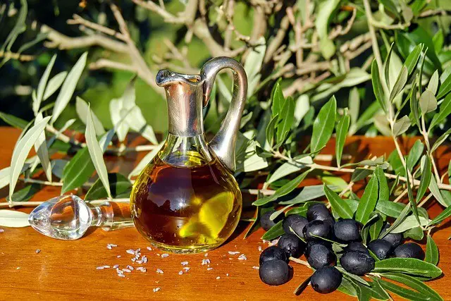 olive oil, oil, olives