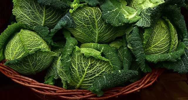 savoy cabbage, vegetables, leafy greens