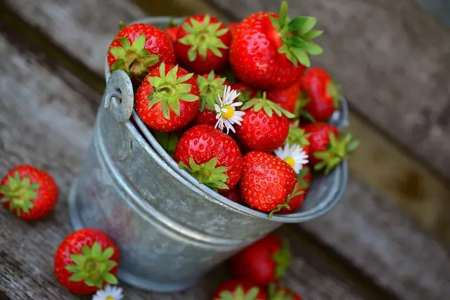 strawberries, fruits, berries