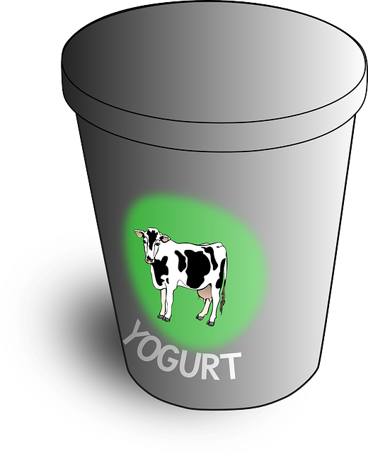 yoghurt, yogurt, yoghourt