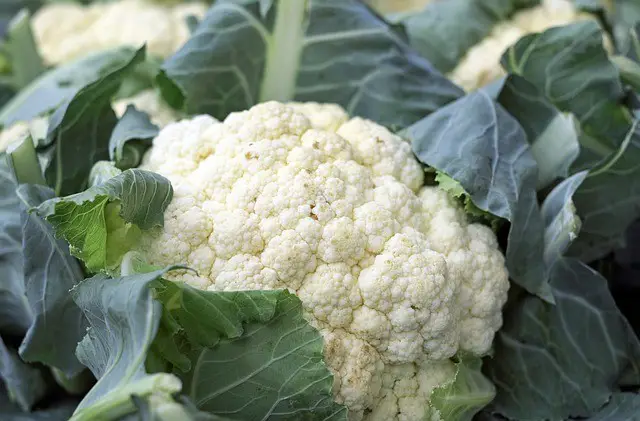 cauliflower, vegetables, food