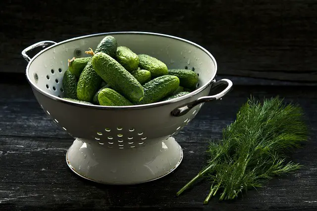 colander, cucumber, food