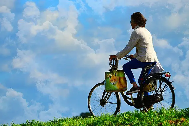 man, bicycle, travel