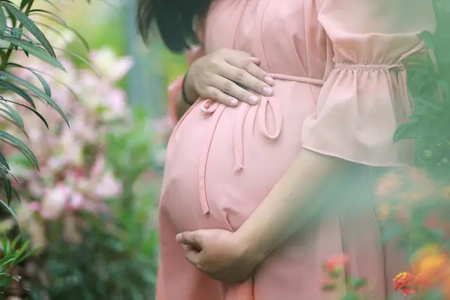 pregnant, woman, belly