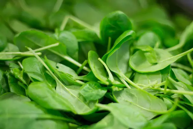 spinach, plant, nourishment