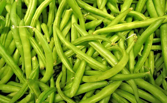 are beans ok for ketogenic diet 