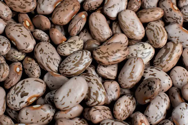 are pinto beans keto-friendly