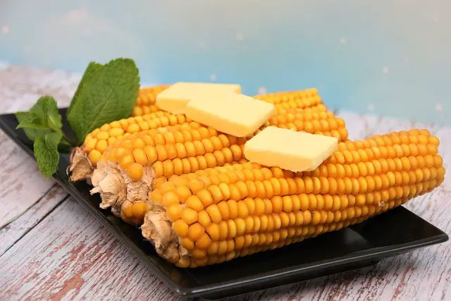 corn on the cob net carbs 