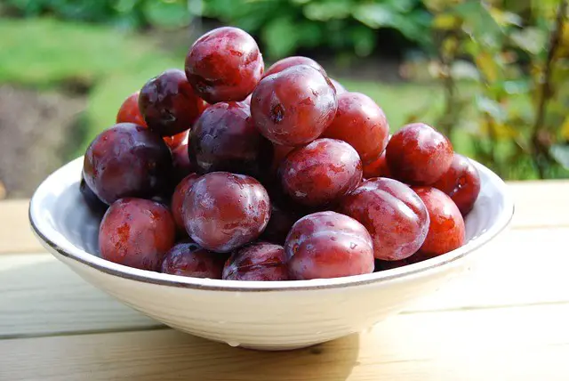 are plums keto