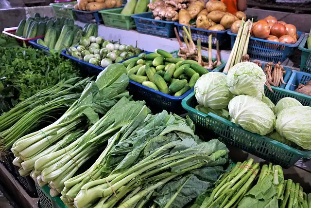 net carbs in cabbage