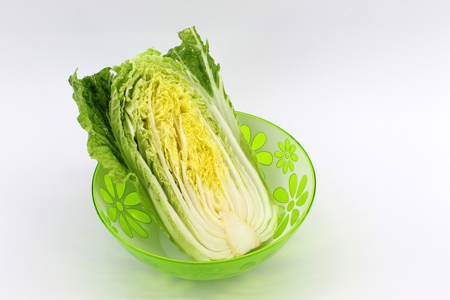 net carbs cabbage 
