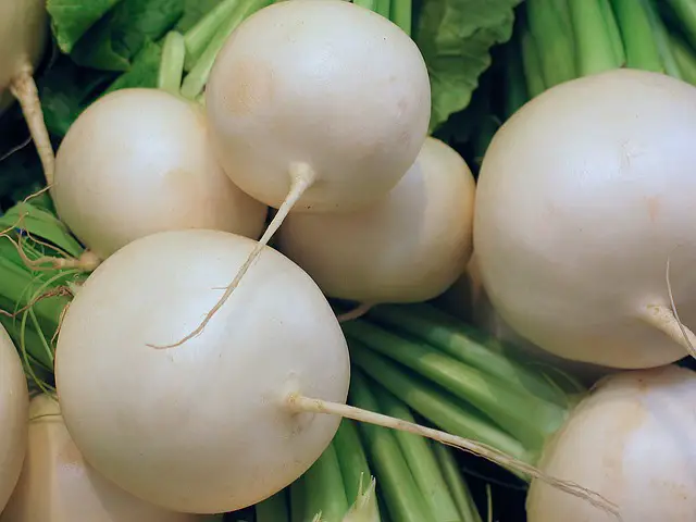 are radishes high in carbs 